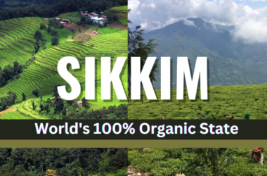 Sikkim's Journey Towards Becoming India's First Organic State