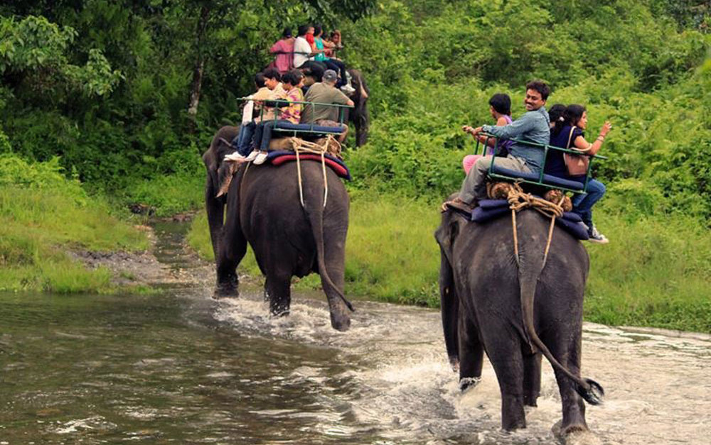 Jaldapara Elephant Safari - with tour and travel services in siliguri - Akk Cruiser Pvt Ltd
