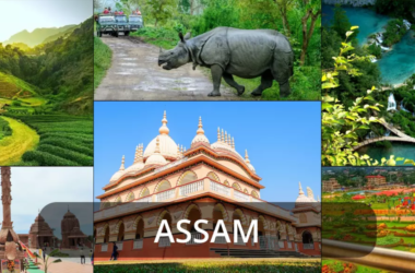 Unveiling Assam's Hidden Treasures: The Top 10 Offbeat Gems