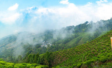 best tour operator in siliguri