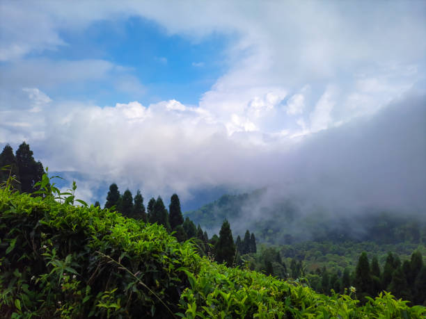 explore with your trusted dmc for darjeeling - akk crusier private limited
