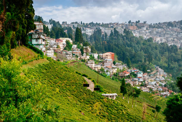 darjeeling tour packages 2025