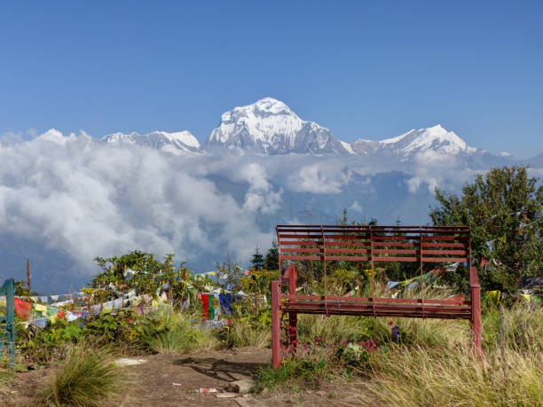 top tour organizer in Siliguri