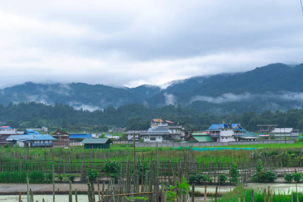Best Affordable Tour Packages from Siliguri – AKK Crusier Private Limited