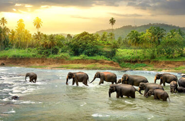 sri lanka tour packages from siliguri