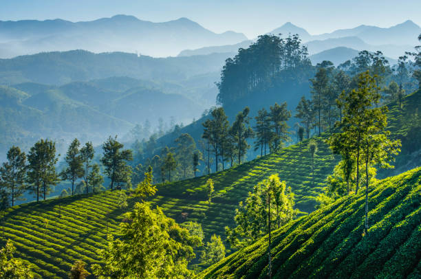 Darjeeling Sikkim tour package