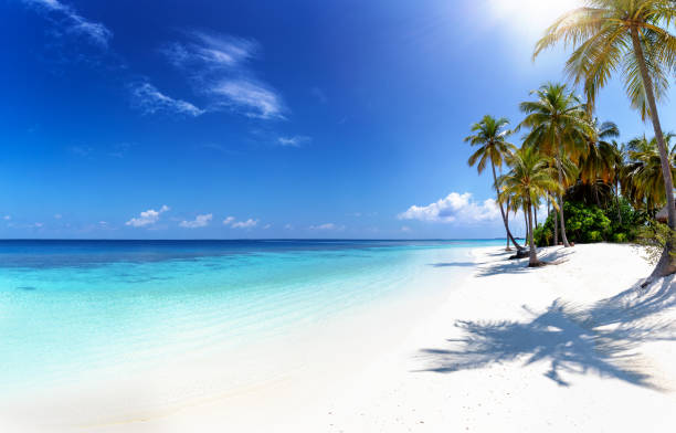 maldives tour package from siliguri
