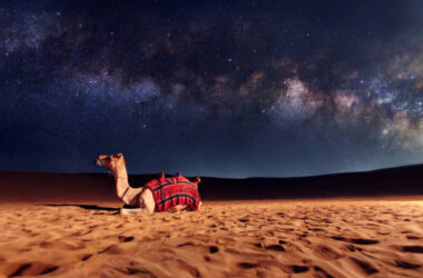 5 Nights Dubai Tour Package from Siliguri
