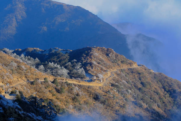 Sandakphu Trek 2025