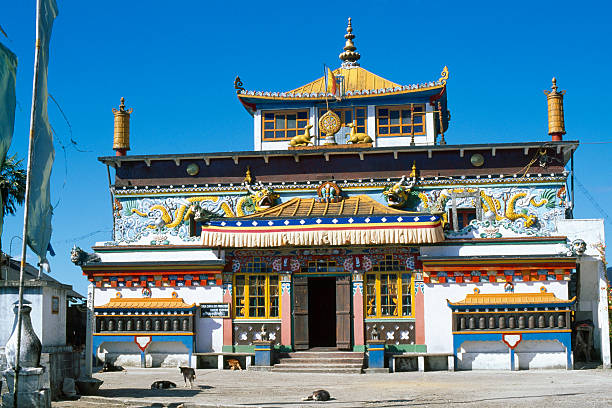 Top Things To Do In Darjeeling and Gangtok