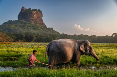Sri Lanka Tour Packages from India 2025