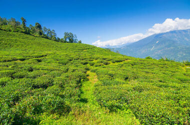 Ravangla Tour Packages