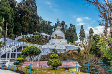 Darjeeling Tour Packages 2025