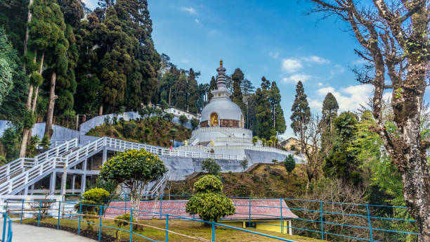 Darjeeling Tour Packages 2025