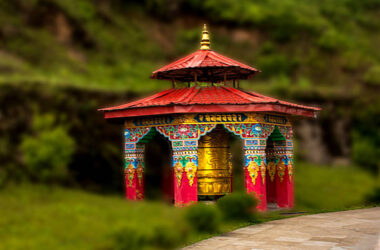 pelling tour packages