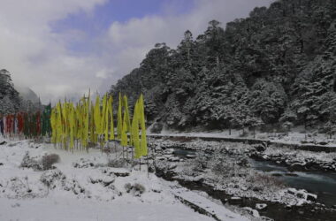 4D 3N Gangtok Pelling Tour Packages from Siliguri – A Perfect Himalayan Getaway