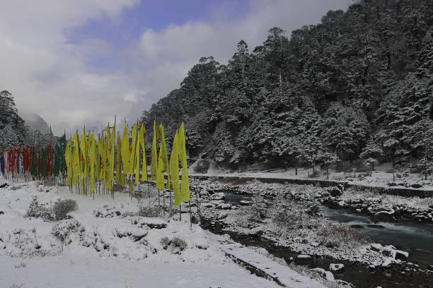 4D 3N Gangtok Pelling Tour Packages from Siliguri – A Perfect Himalayan Getaway