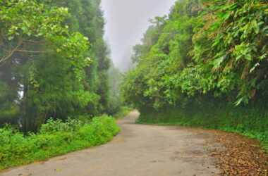 Weekend Getaways from Siliguri