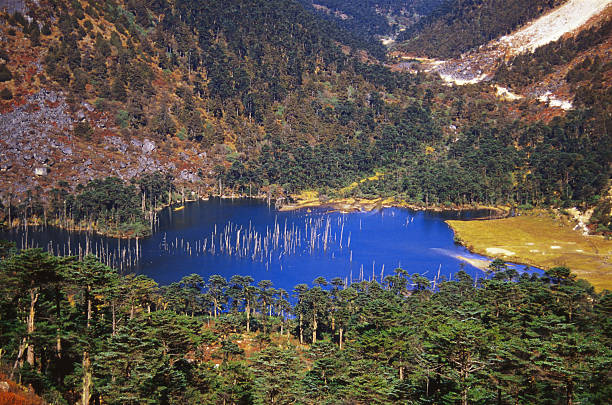 Permits for Arunachal Pradesh