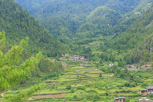 Bhutan Holiday Packages