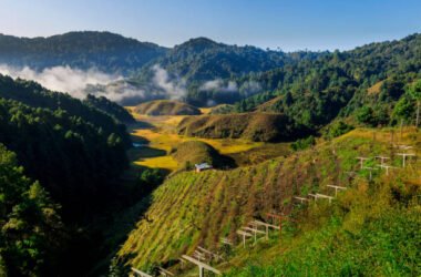 Ziro Valley: Arunachal's Offbeat Gem for the Ziro Music Festival and Apatani Culture