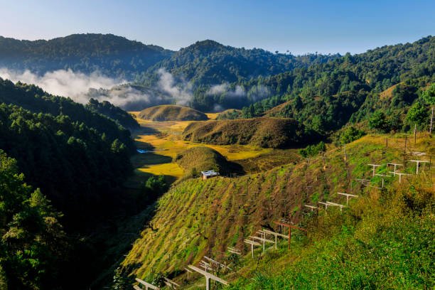 Ziro Valley: Arunachal's Offbeat Gem for the Ziro Music Festival and Apatani Culture