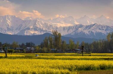 Offbeat Villages Near Darjeeling 2026: Best Homestays for a Quiet Getaway
