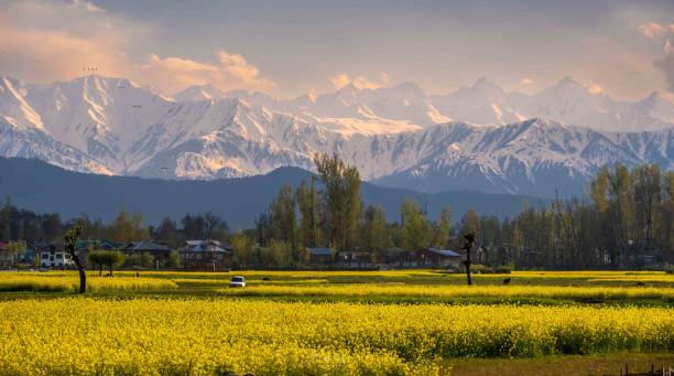Offbeat Villages Near Darjeeling 2026: Best Homestays for a Quiet Getaway