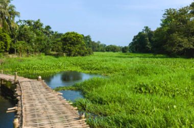Majuli Island: A Complete Guide to the World's Largest River Island in Assam